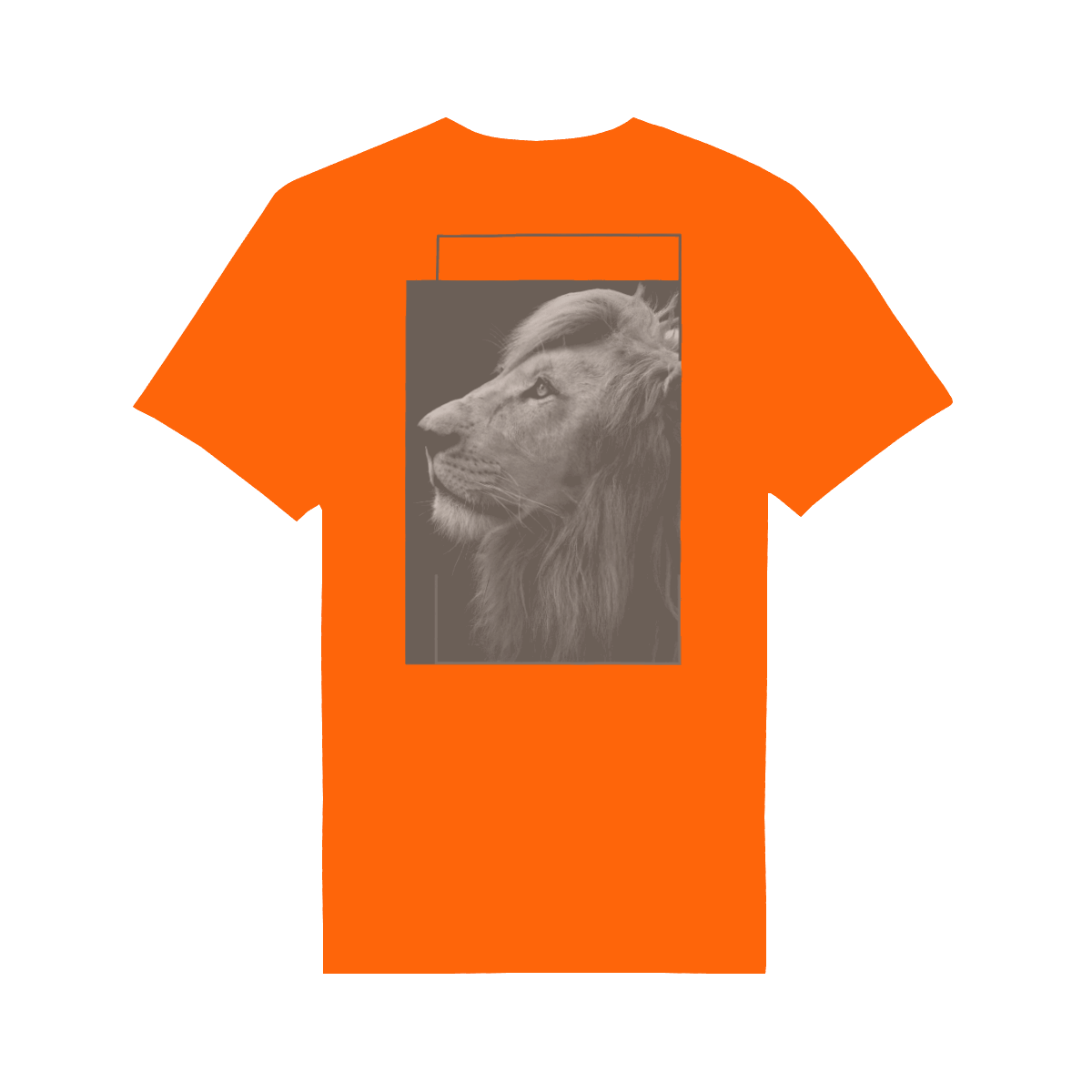Oranje Koningsdag T-Shirt heren 2026 - Lion T-Shirt | Kingsday 1967